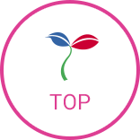 ページTOPへ